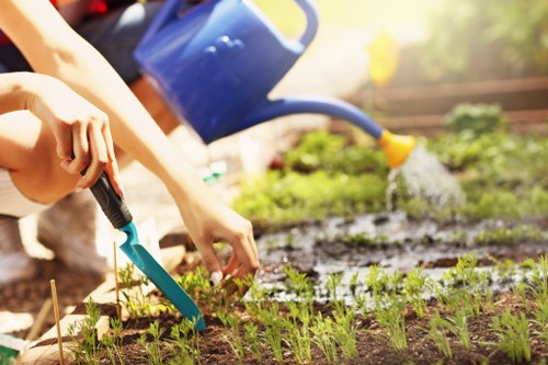 Gardeners in Merton Park introducing a well-maintained outdoor space