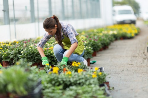 Garden maintenance in Merton Park with a tidy lawn and seasonal planting