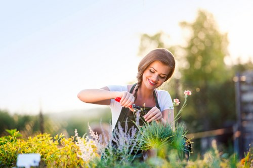 Gardening services in Merton Park for a tidy and healthy garden