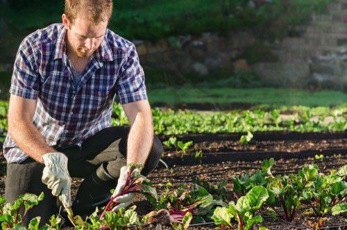 British law and gardening service contract page concept