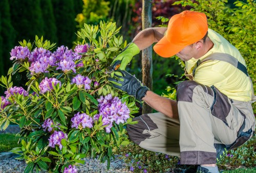Overgrown garden clearance in Merton Park with green waste removal