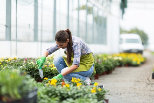 Gardener assessing a small Merton Park garden for a quote
