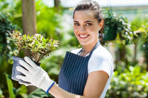 Seasonal outdoor maintenance in Merton Park with clean paths and plants