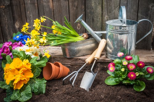 Professional garden maintenance in Merton Park with hedges and borders