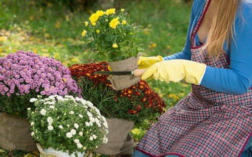 Low-carbon van used for sustainable garden maintenance