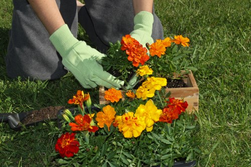 Supplier audit and compliance concept for gardening services