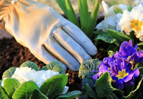 Review of a gardening issue under a complaints procedure