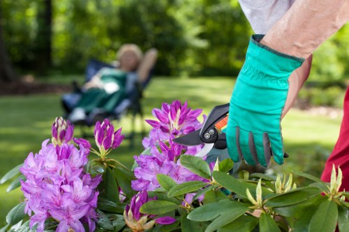 Low-maintenance landscaped garden in Merton Park with seasonal planting
