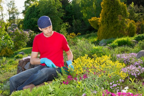 Hedge trimming and waste removal at a local residential garden