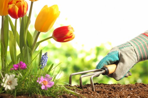 Professional garden clearance removing branches and debris in Merton Park