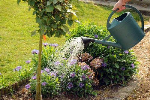 Safe tree maintenance near homes in Merton Park
