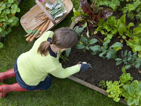 Professional grass cutting service for a suburban Merton Park lawn