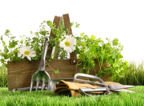 Seasonal garden maintenance in a typical Merton Park property