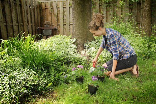 Seasonal grass maintenance in a Merton Park residential lawn