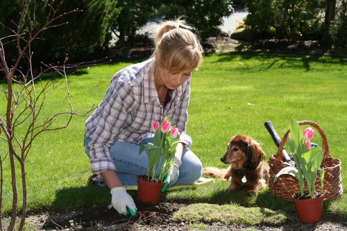 Final resolution of a garden services complaint
