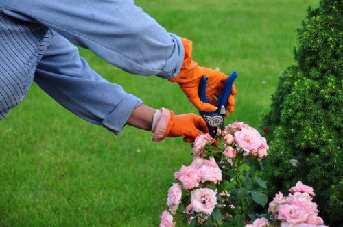 A tidy and vibrant Merton Park garden cared for by skilled gardeners